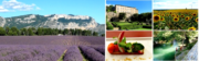 LA PROVENZA